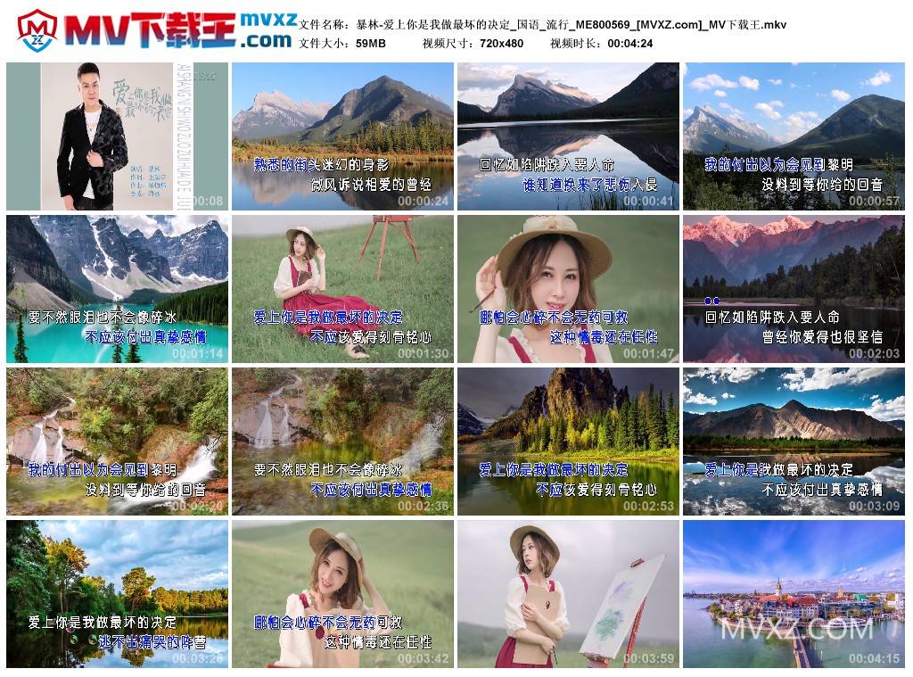 暴林-爱上你是我做最坏的决定_国语_流行_ME800569